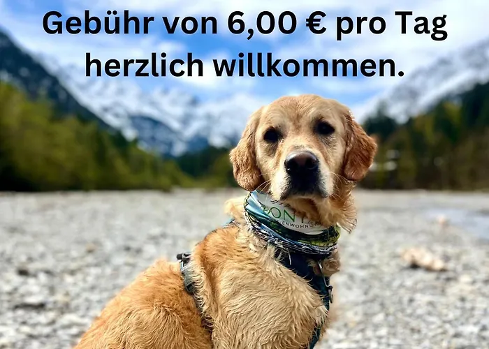 Bergstueble A15 Montana Haus 아파트 오버스트도르프